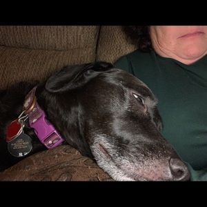 Meet your Posher, Jodi